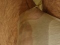 Pissing panties, feet and socks in the shower