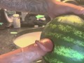 Fucking watermelon ,big dick,love sex