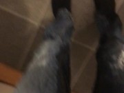 pissing jeans compilation