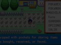 Pokemon GH17
