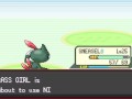 Pokemon GH17