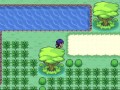 Pokemon GH17