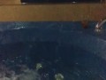 Our first date at the motel jacuzzi