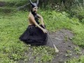 Maleficent Monika Foxxx conjured with a staff fucking ass big dildos for hard anal