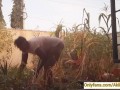 Village girl AKIILISA harvesting crop in the garden/Tshirt and panty sexy ass