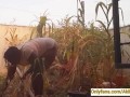 Village girl AKIILISA harvesting crop in the garden/Tshirt and panty sexy ass