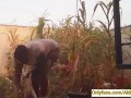 Village girl AKIILISA harvesting crop in the garden/Tshirt and panty sexy ass