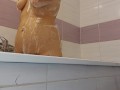 Une brune sexy et chaude prend un bain moussant. Femme amateur chatte poilue, gros seins, gros téton