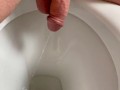 DADDY PISS to the toilet 💦.  Any volunteers to taste  uncut COCK ?