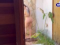 Brasileira gostosa Drii Cordeiro sensualizando no banho