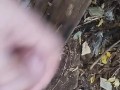 I jerk off in public place. Masturbate in the public park