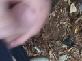 I jerk off in public place. Masturbate in the public park