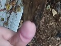 I jerk off in public place. Masturbate in the public park