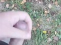 I walking in public place and jerk off cruising in the park