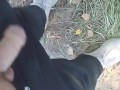I walking in public place and jerk off cruising in the park
