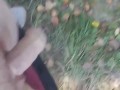 I walking in public place and jerk off cruising in the park