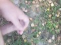 I walking in public place and jerk off cruising in the park