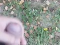 I walking in public place and jerk off cruising in the park