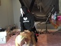 Big titty Blondie Halloween BDSM Halloween GhostFace Fuck