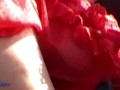 Amateur MILF Braless wearing her Sheer Red HOT Top all around Town