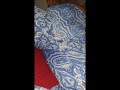 QUICK NUT ON MY NEXT DOOR NEIGHBORS COUCH AND BED COMPILATION