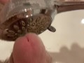 Playing with the shower ending in big orgasm
