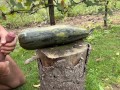 Ich ficke meine riesige Halloween-Zucchini und komme darauf
