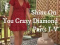 Outdoor Striptease: Shine On You Crazy Diamond Part I-V