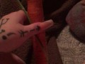 Carrot in pussy