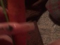 Carrot in pussy