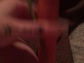 Carrot in pussy