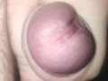 Young fat schoolboy man sweet cum fat hairy dick jerk off to orgasm