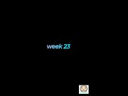 body transformation week by week