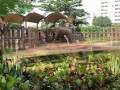 Elephants of Saigon. Vietnam