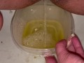 Babe does close up piss in Tupperware container