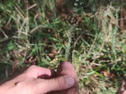 Naked hiking and pissing in the woods