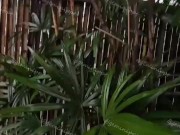 เย็ดกันอยู่หน้าบ้านเกือบโดนจับได้