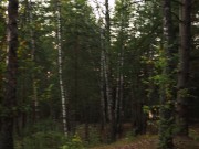 Romatic Amateur Anal Standing Doggy in the Woods - Anal Creampie