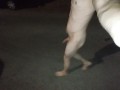 Totally naked in public