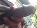pumunta sa labas - Nilaro laro ang burat (Showed asian black dick)