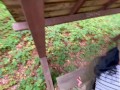 Outdoor risky fuck in forest - Tonny and Mia