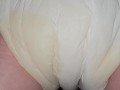 After my diaper change I soak my diaper