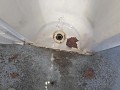 Compilation of some toilet, urinal and floor pissing. 7 POV scenes.