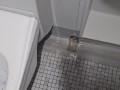 Compilation of some toilet, urinal and floor pissing. 7 POV scenes.