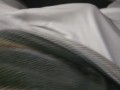 Personal Desk Masturbation quickie