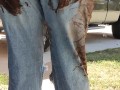 Rubbing mud all over my ripped denim jeans teasing you  clothing destruction