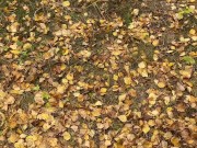 Milf in boots pees at the fence