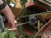 I pee in a monstera pot in the office while everyone else is out for lunch.