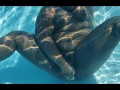 SOLO UNDERWATER MASTERBATION CUSTOM