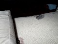 Old Barres prepares everything for my clit massage